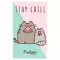 Pusheen arctörlő törölköző